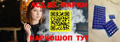 СК Новодвинск
