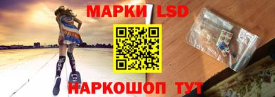 СК Новодвинск