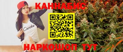 СК Новодвинск