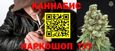 СК Новодвинск