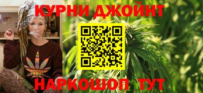 jwh Новозыбков