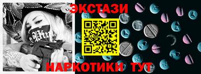 СК Новодвинск