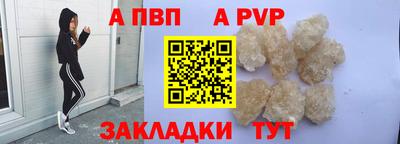 СК Новодвинск