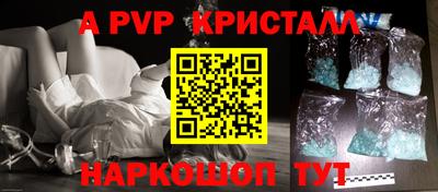 СК Новодвинск