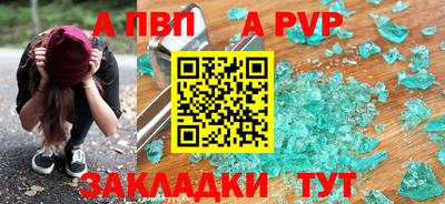 СК Новодвинск