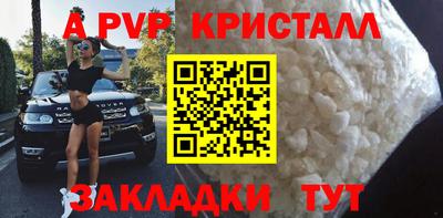 СК Новодвинск