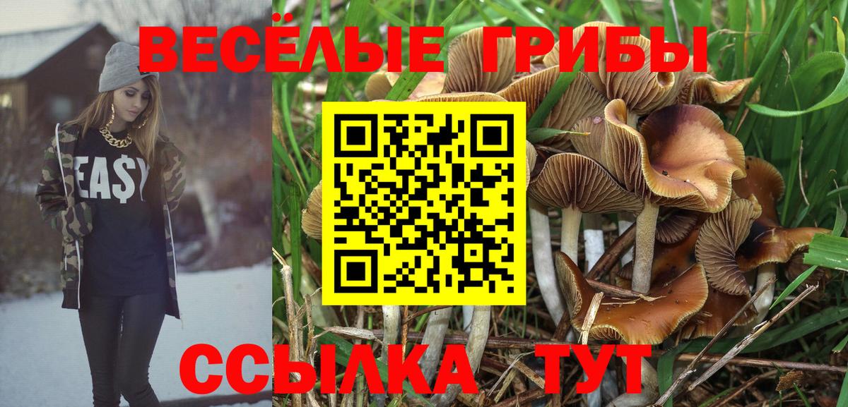 Псилоцибиновые грибы мухоморы  Вход с VPN  закладки  Галлюциногенные грибы Cubensis  Симферополь 